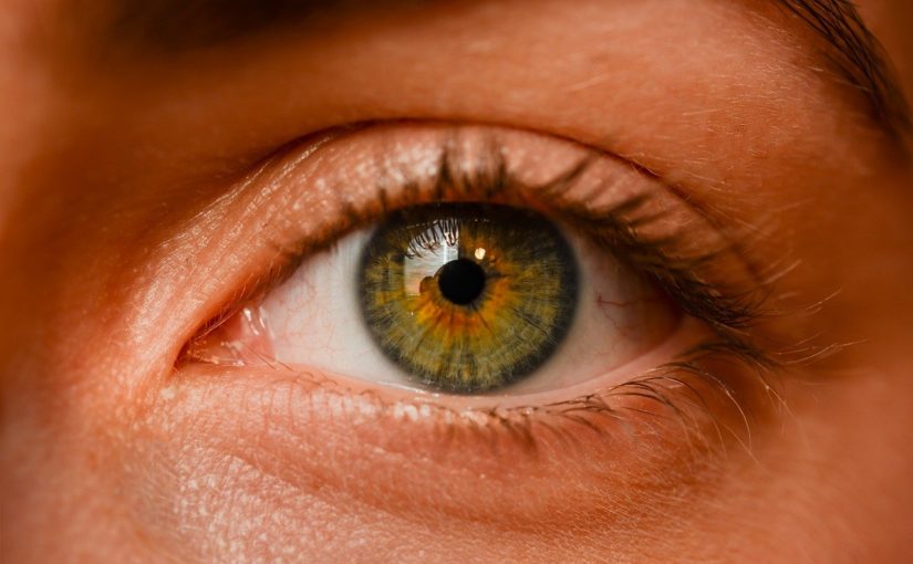 Oczy to niepowtarzalny narząd. To naturalnie dzięki nim rozróżniamy.